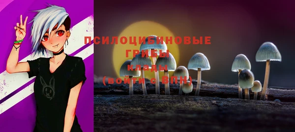 ПСИЛОЦИБИНОВЫЕ ГРИБЫ Абдулино