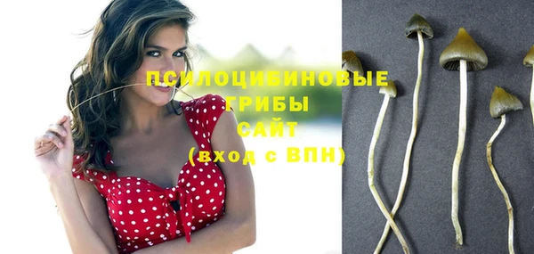 ПСИЛОЦИБИНОВЫЕ ГРИБЫ Абдулино