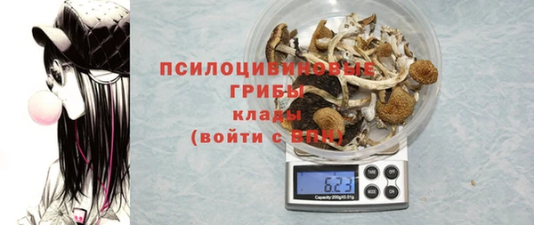 ПСИЛОЦИБИНОВЫЕ ГРИБЫ Абдулино