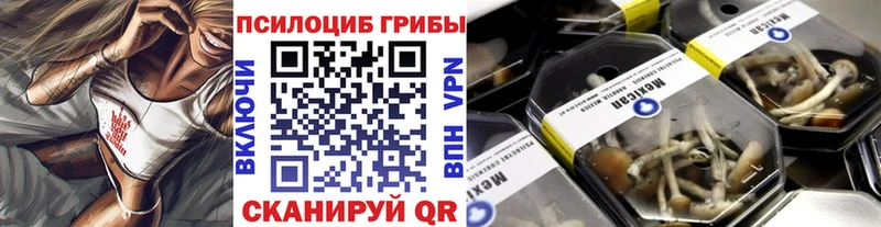 omg ссылка  даркнет клад  Галлюциногенные грибы ЛСД  Отрадное 
